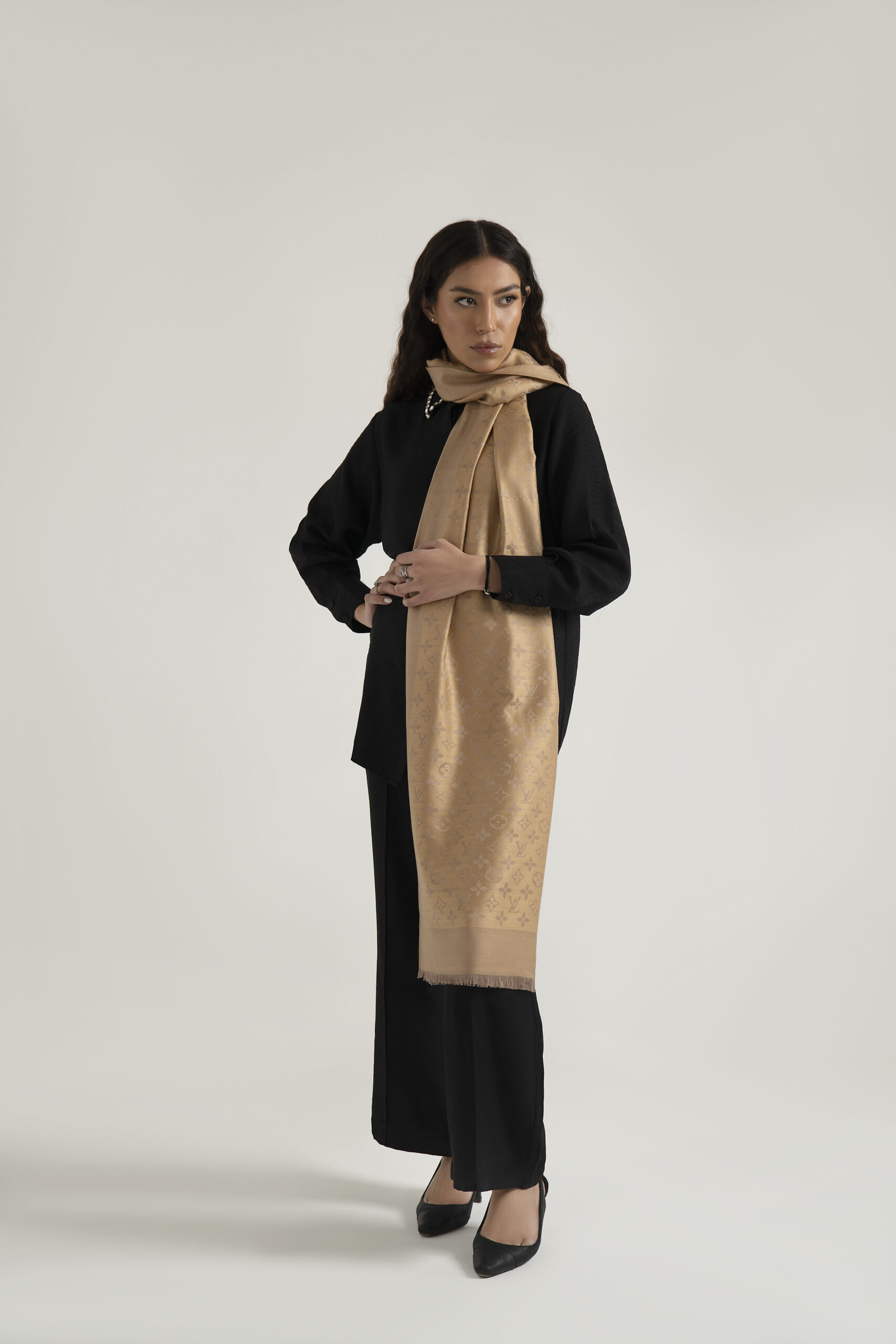 Elegant Embroidered Shawl in Beige - Image 4